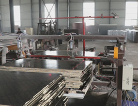 建築模闆全(quán)自動鋸邊機